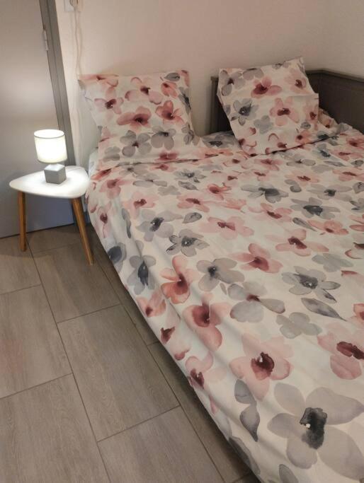 Petit Paradis Classe 3 Etoiles A 200M De La Plage! Terrasse-Wifi-Parking-Clim Сен-Мандрие-сюр-Мер Экстерьер фото